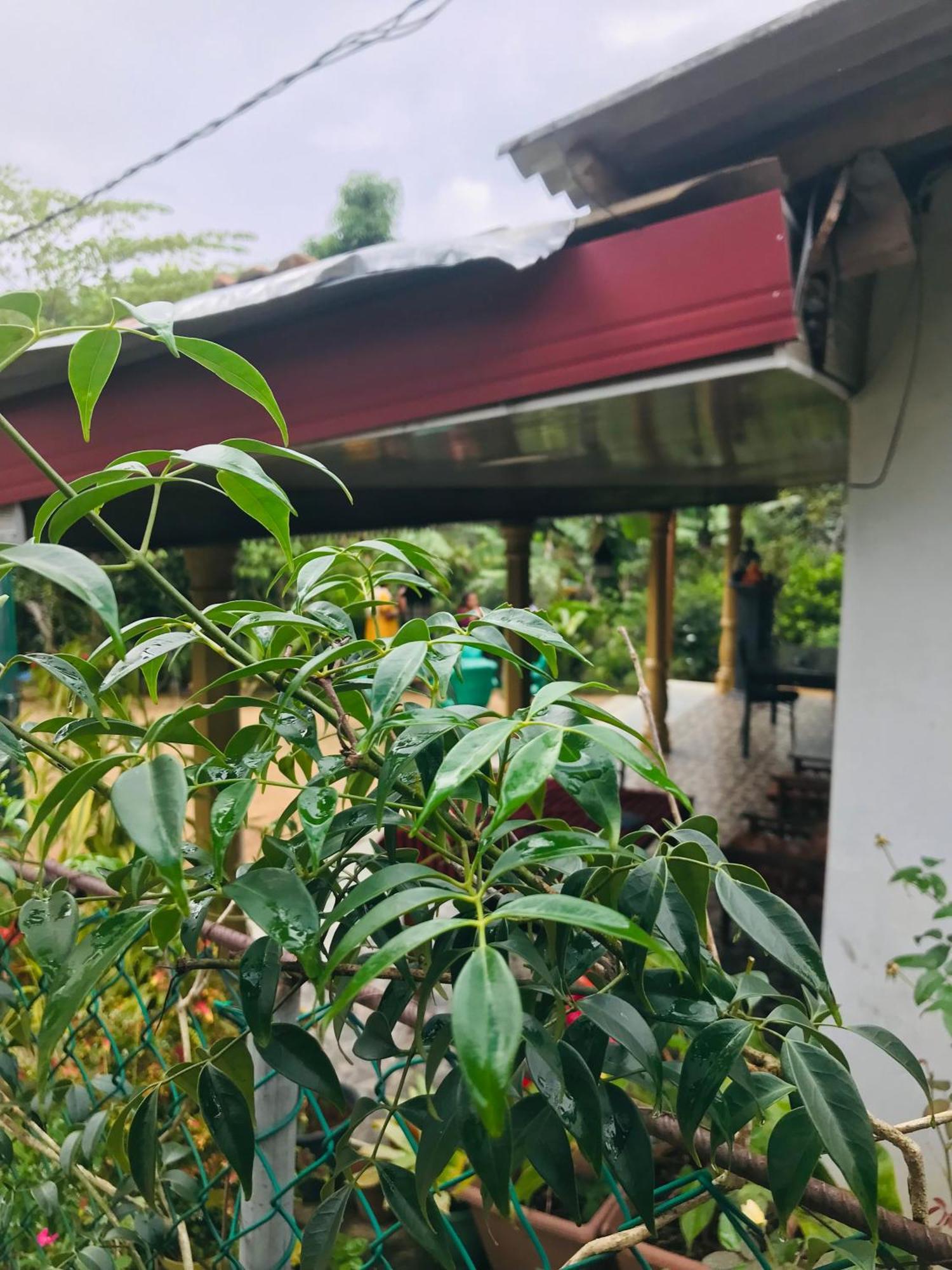 Cinnamon Homestay Ella Eksteriør bilde