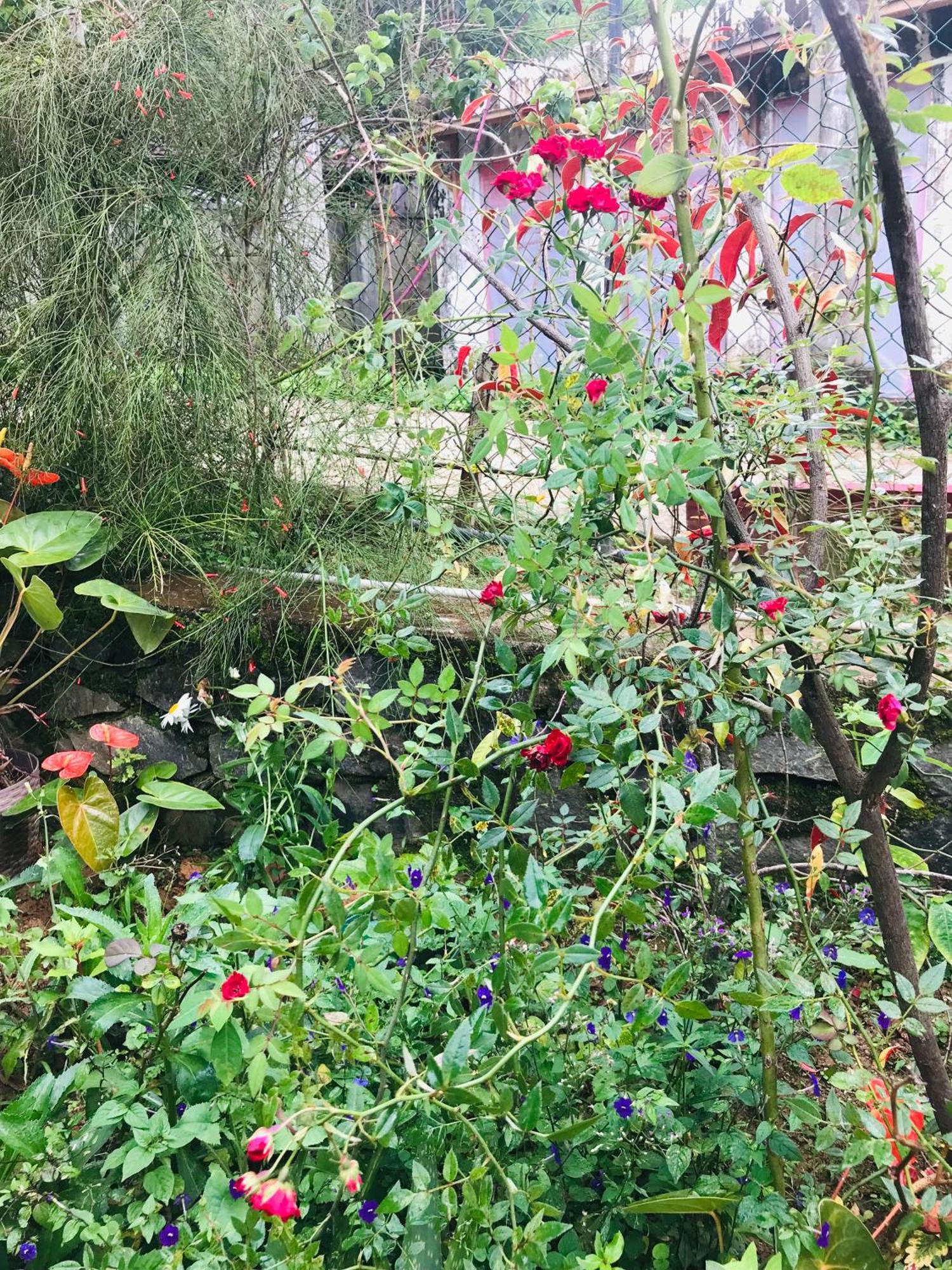Cinnamon Homestay Ella Eksteriør bilde
