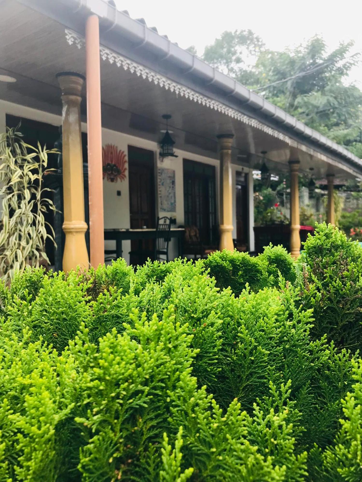 Cinnamon Homestay Ella Eksteriør bilde