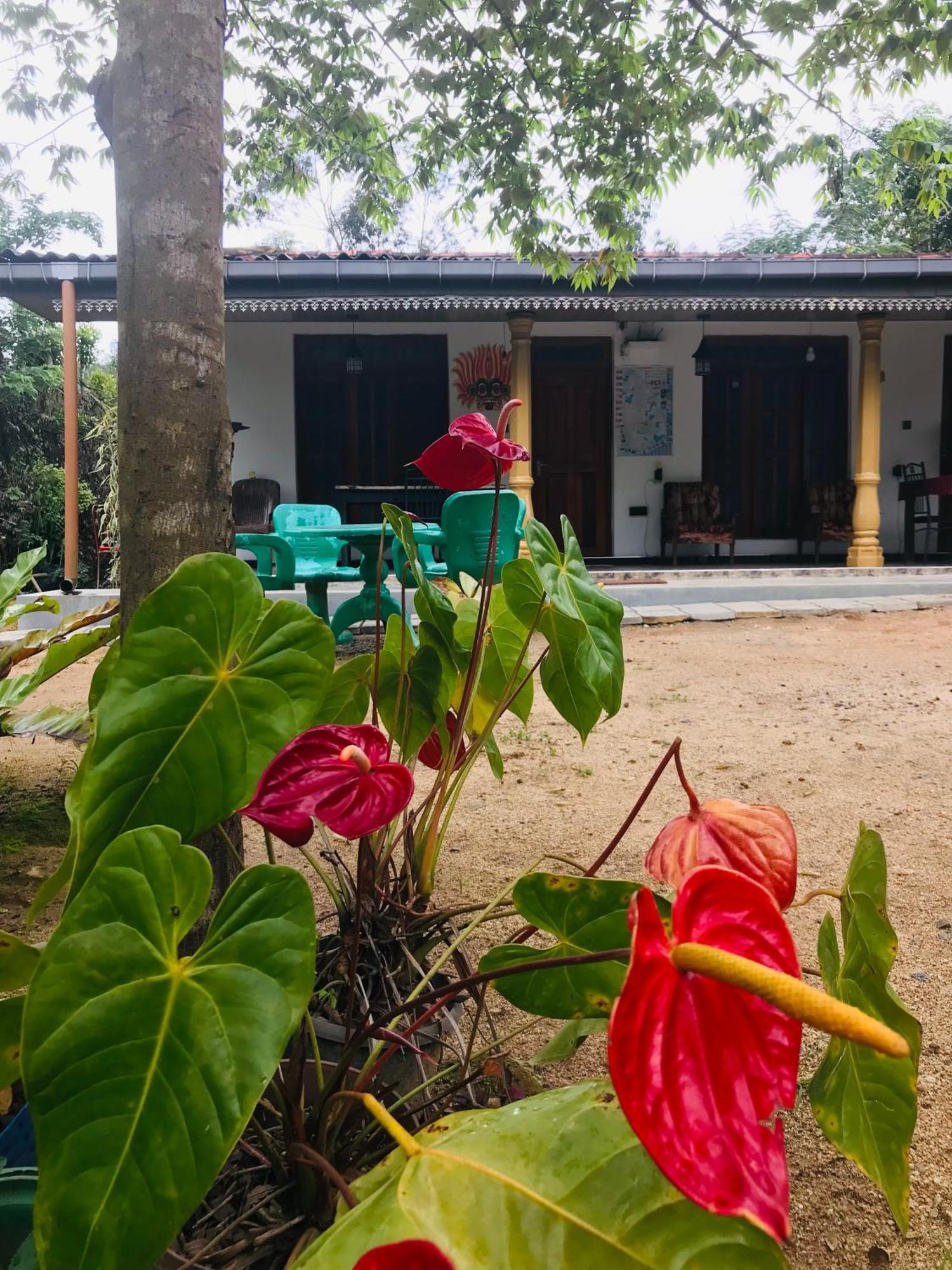 Cinnamon Homestay Ella Eksteriør bilde