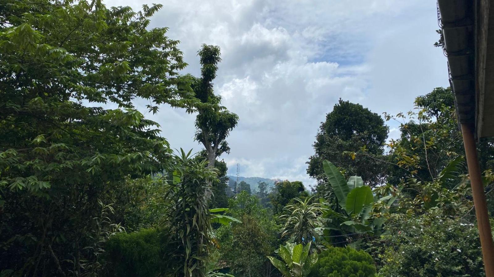 Cinnamon Homestay Ella Rom bilde